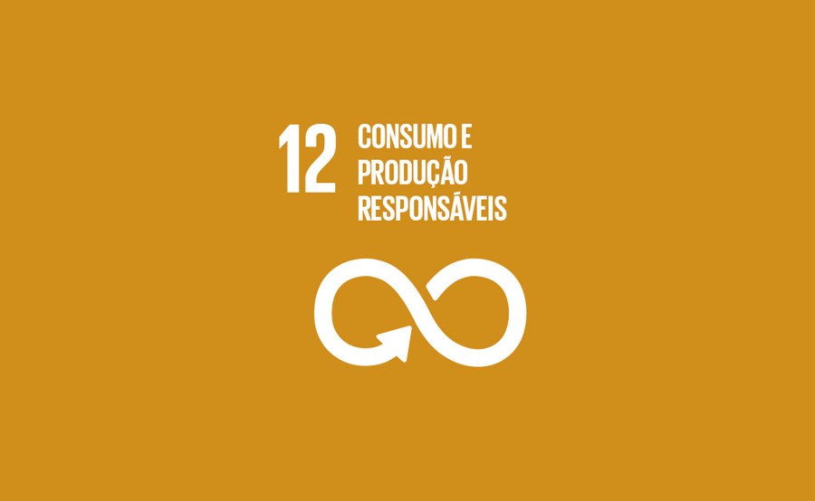 ODS 12: Consumo e Produção Responsáveis